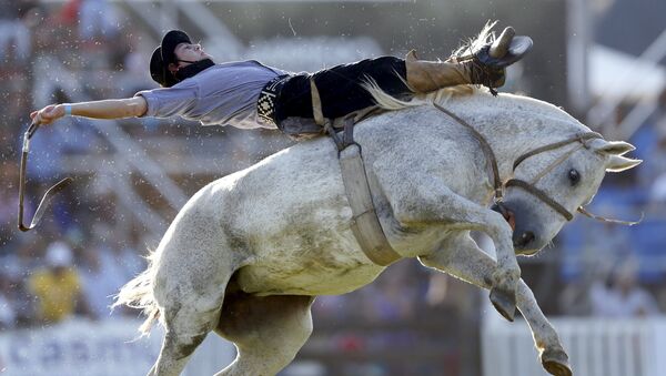 Rodeo en Montevideo: La competencia de los gauchos más valientes - Sputnik Mundo