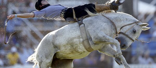 Rodeo en Montevideo: La competencia de los gauchos más valientes - Sputnik Mundo