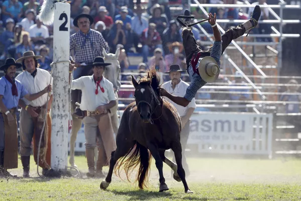 Rodeo en Montevideo: La competencia de los gauchos más valientes Rodeo en Montevideo: La competencia de los gauchos más valientes - Sputnik Mundo