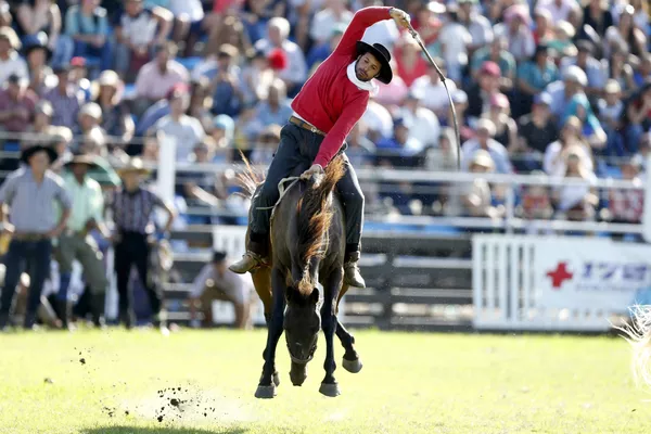Rodeo en Montevideo: La competencia de los gauchos más valientes Rodeo en Montevideo: La competencia de los gauchos más valientes - Sputnik Mundo