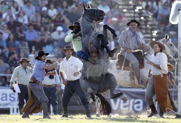 Rodeo en Montevideo: La competencia de los gauchos más valientes Rodeo en Montevideo: La competencia de los gauchos más valientes - Sputnik Mundo