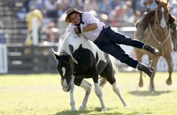 Rodeo en Montevideo: La competencia de los gauchos más valientes - Sputnik Mundo