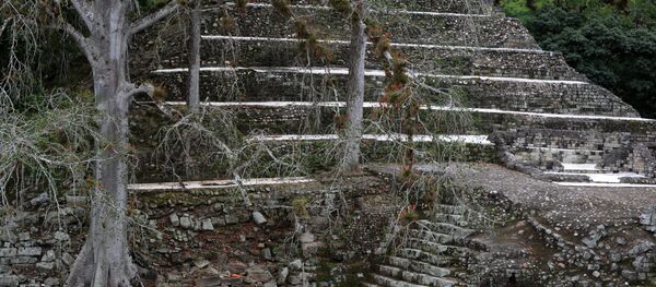 Picture taken at the Mayan archaeological site of Copan, 400 km from Tegucigalpa in western Honduras, near the border with Guatemala, on December 7, 2015 - Sputnik Mundo