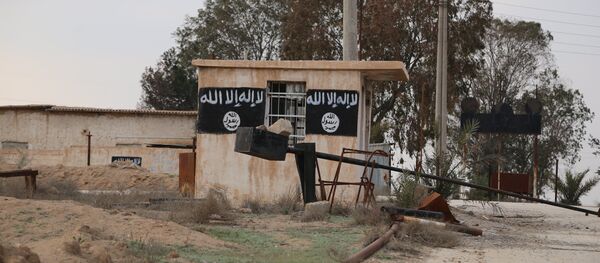 Una de las casas ocupadas por los terroristas en la ciudad de Al Shaddadi - Sputnik Mundo