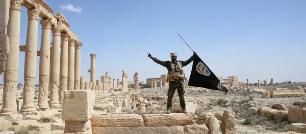 A historic site in the Syrian city of Palmyra destroyed in the military operations. - Sputnik Mundo