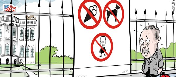 ¿Erdogan ya no es bienvenido? - Sputnik Mundo