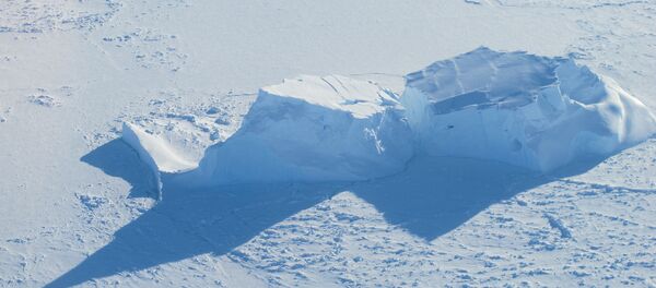 Mar de Bellingshausen, Antártida - Sputnik Mundo