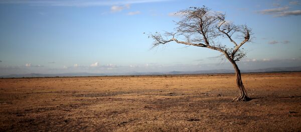 Un campo en Nicaragua - Sputnik Mundo