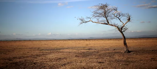 Un campo en Nicaragua Un campo en Nicaragua - Sputnik Mundo