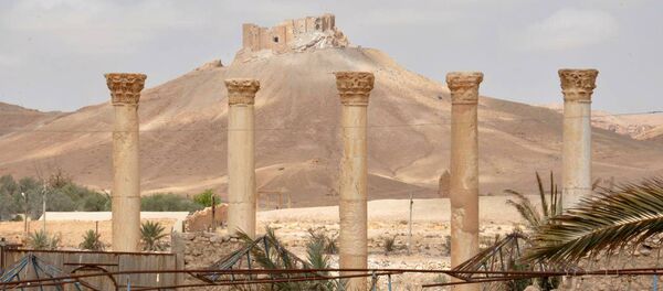 La Ciudadela de Palmira - Sputnik Mundo