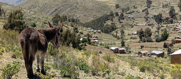 Bolivia Bolivia - Sputnik Mundo