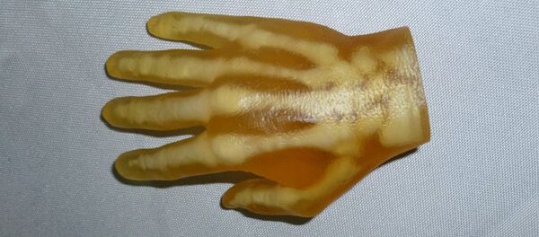 Una mano imprimida en 3D - Sputnik Mundo