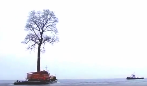 Un árbol en el mar Negro Un árbol en el mar Negro - Sputnik Mundo
