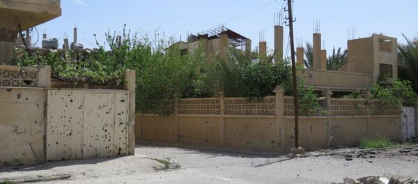 Ciudad siria de Palmira - Sputnik Mundo