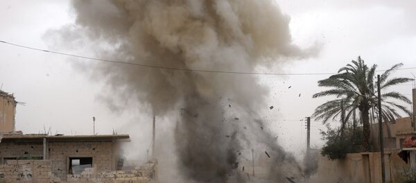 Desminado de Palmira - Sputnik Mundo