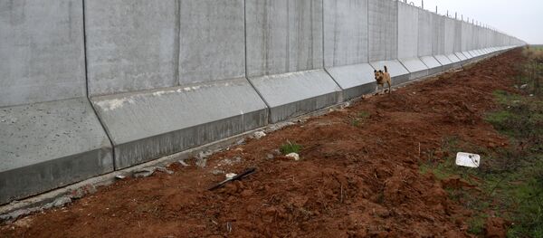 El muro en la frontera entre Turquía y Siria - Sputnik Mundo