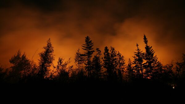 Incendio forestal - Sputnik Mundo