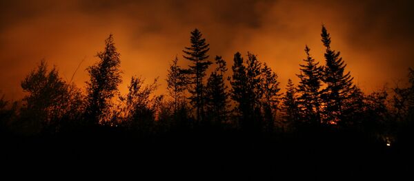 Incendio forestal Incendio forestal - Sputnik Mundo
