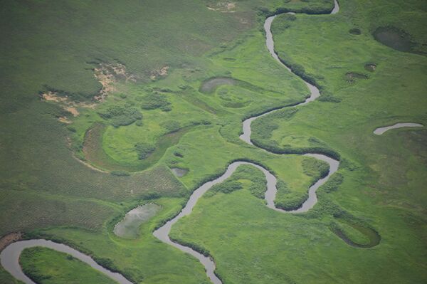 El Valle de Géiseres en Kamchatka: ¡Belleza que te dejará estupefacto! - Sputnik Mundo