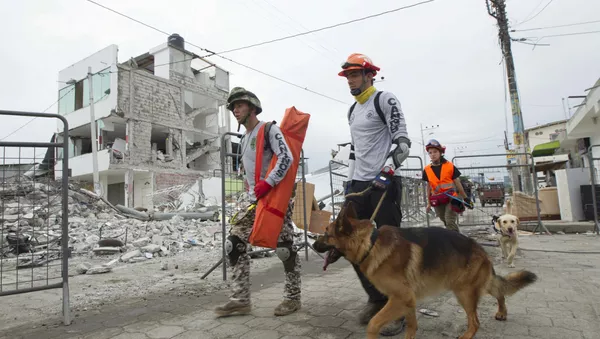 Trabajos de rescate en Ecuador - Sputnik Mundo
