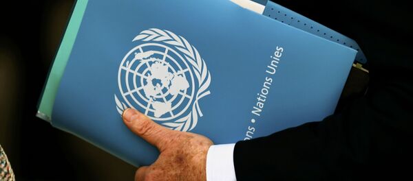 El logo de la ONU en una carpeta - Sputnik Mundo