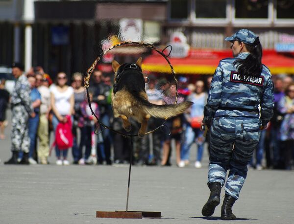 Exhibición del Cuerpo Policial “Berkut” y de las Tropas Especiales de Acción Rápida en Sebastopol - Sputnik Mundo