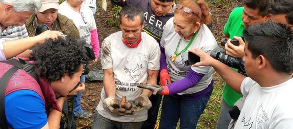 Familiares de desaparecidos encuentran restos humanos en Veracruz, México - Sputnik Mundo