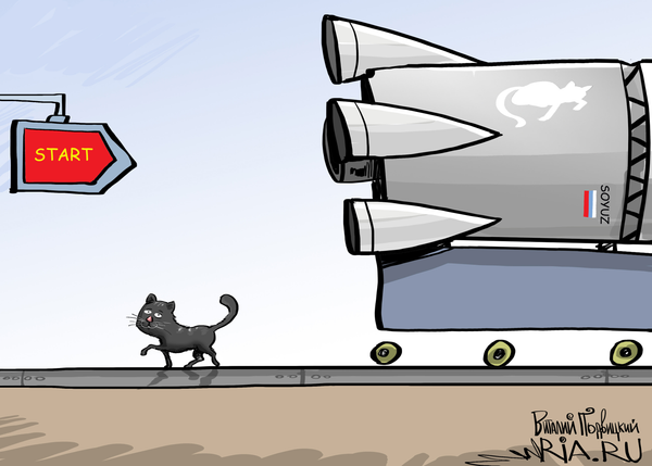 El gato que vive en el cosmódromo de Vostochni El gato que vive en el cosmódromo de Vostochni - Sputnik Mundo