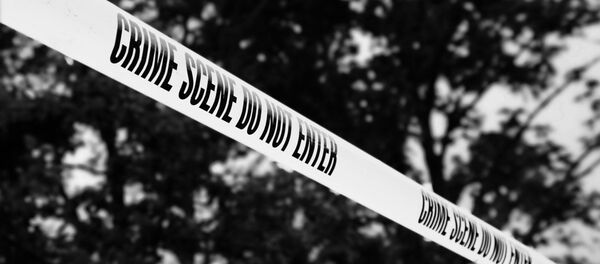 Delitos - Sputnik Mundo