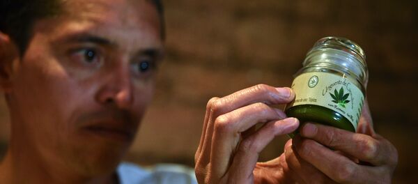 Marihuana para uso médico - Sputnik Mundo