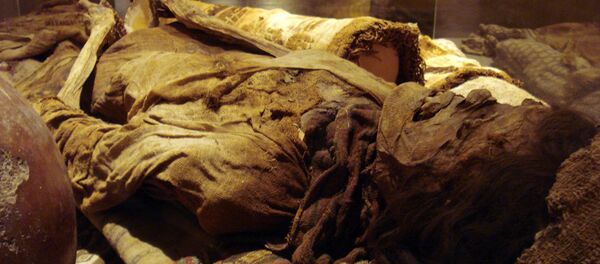 Momia peruana, Museo Brüning. Lambayeque, Perú. - Sputnik Mundo