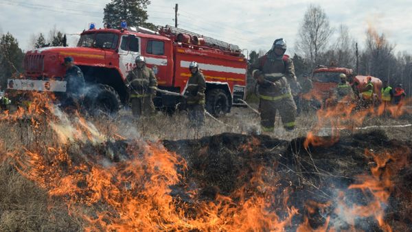 Unos ejercicios para la extinción de incendios forestales Unos ejercicios para la extinción de incendios forestales - Sputnik Mundo