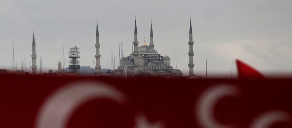 Bandera de Turquía en Estambul - Sputnik Mundo