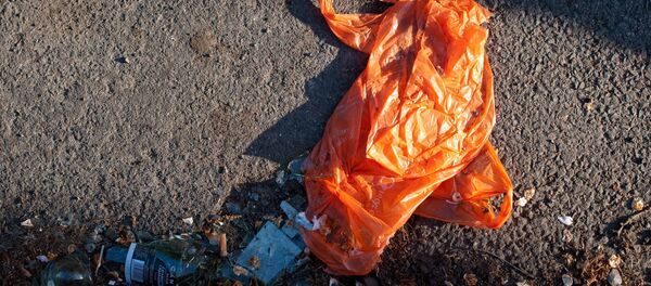 Bolsa plástica Bolsa plástica - Sputnik Mundo