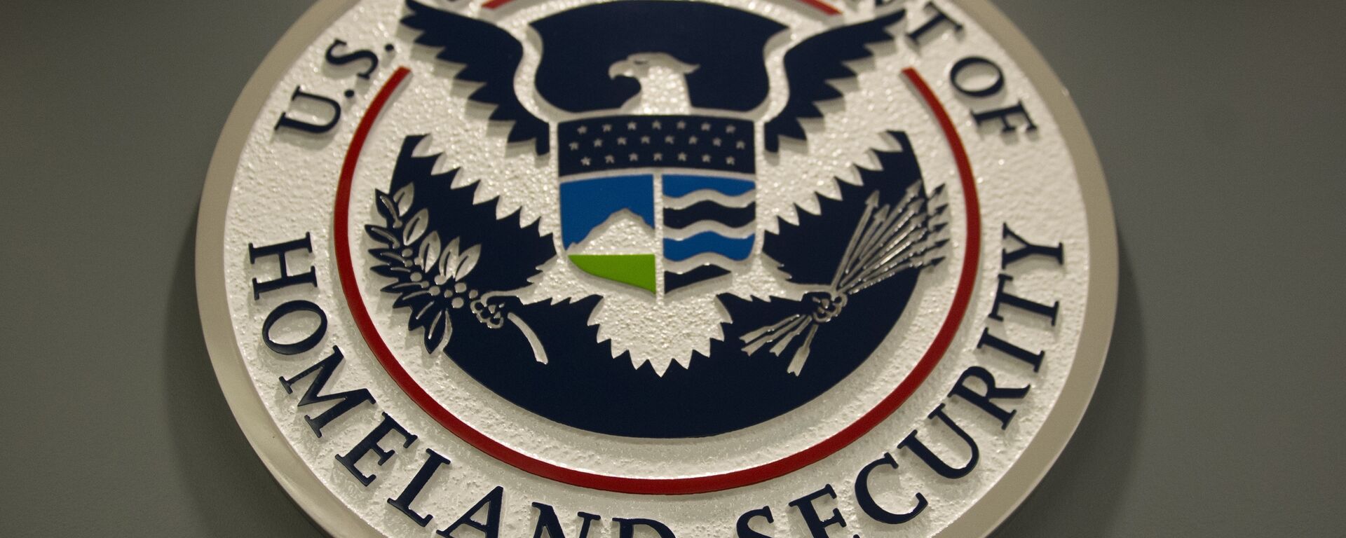 Logo de Departamento de Seguridad Nacional de EEUU (ICE) - Sputnik Mundo, 1920, 25.08.2021
