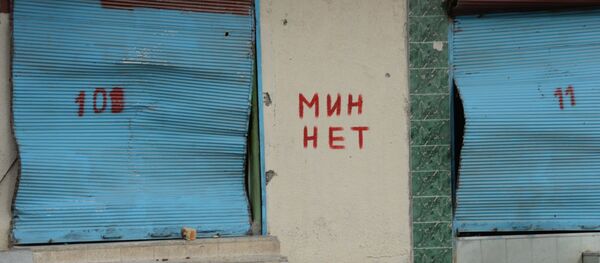 Frase 'Libre de minas' en un muro en Palmira - Sputnik Mundo