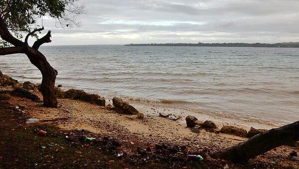 Basura en la costa - Sputnik Mundo