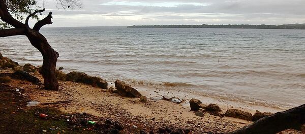 Basura en la costa - Sputnik Mundo