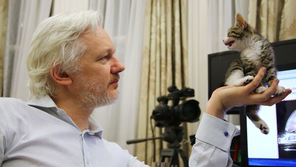 Julian Assange, fundador de WikiLeaks (archivo) - Sputnik Mundo