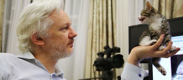 Julian Assange con su gato (archivo) - Sputnik Mundo