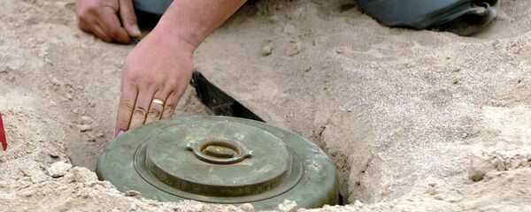 Desminado - Sputnik Mundo