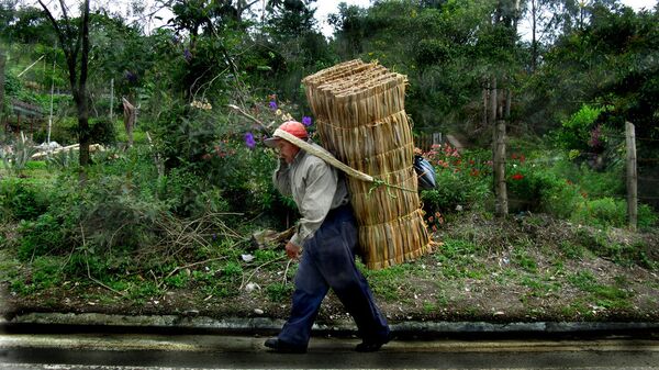 Campesino colombiano - Sputnik Mundo