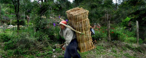 Campesino colombiano - Sputnik Mundo