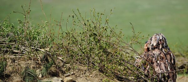 Situación en Lugansk Situación en Lugansk - Sputnik Mundo