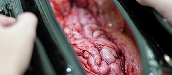 ¿Qué se esconde detrás del cuero? - Sputnik Mundo