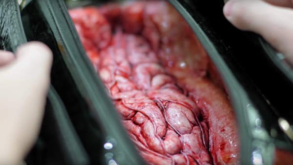 ¿Qué se esconde detrás del cuero? - Sputnik Mundo