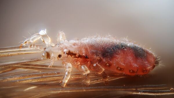 Piojo - Sputnik Mundo