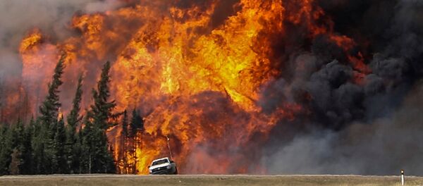 Incendio forestal en Canadá - Sputnik Mundo