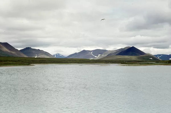 Chukotka en verano Chukotka en verano - Sputnik Mundo