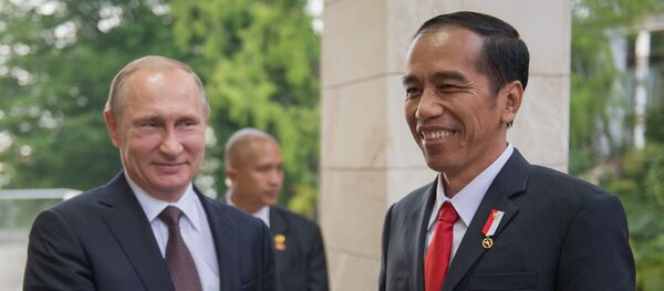 Двусторонняя встреча президента РФ В. Путина с президентом Индонезии Джоко Видодо - Sputnik Mundo